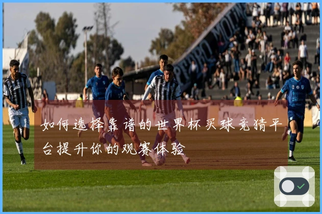 如何选择靠谱的世界杯买球竞猜平台提升你的观赛体验