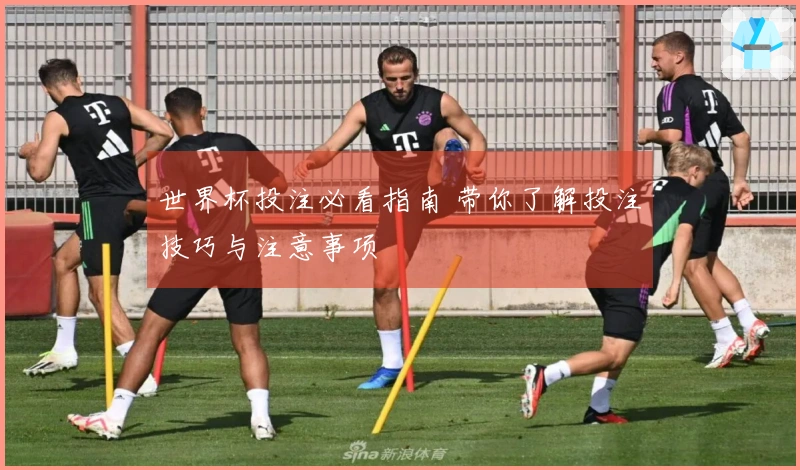世界杯投注必看指南 带你了解投注技巧与注意事项