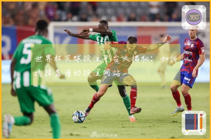 世界杯买球投注平台大揭秘：如何选择靠谱的投注网站