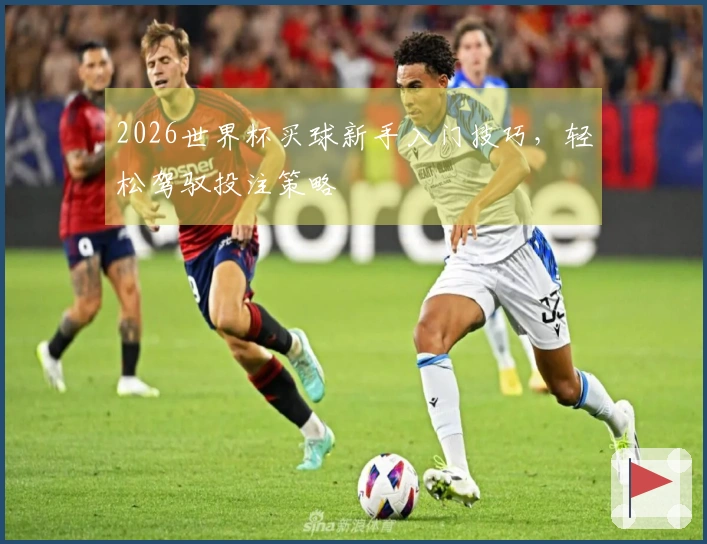 2026世界杯买球新手入门技巧,轻松驾驭投注策略