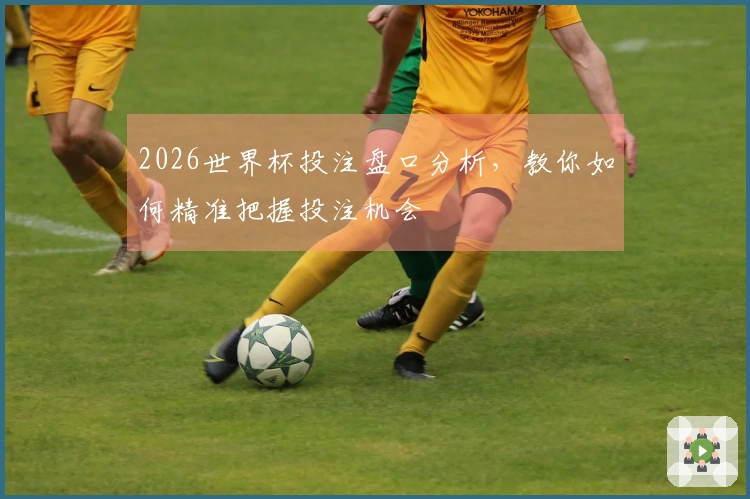 2026世界杯投注盘口分析，教你如何精准把握投注机会