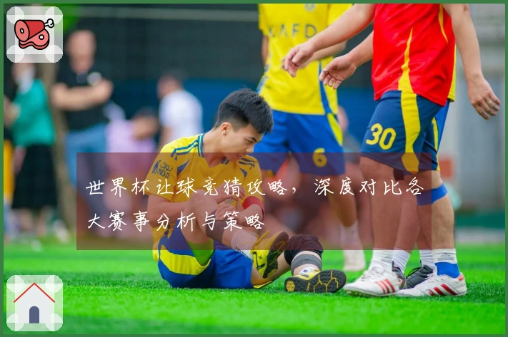 世界杯让球竞猜攻略，深度对比各大赛事分析与策略