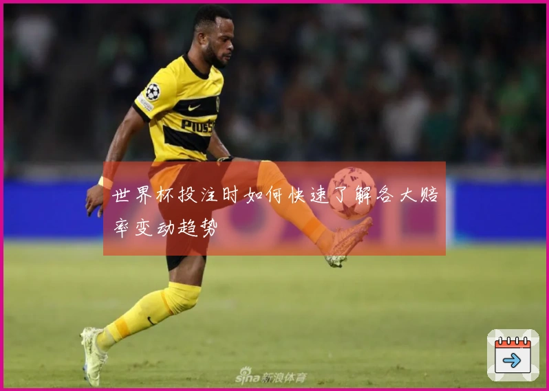 世界杯投注时如何快速了解各大赔率变动趋势