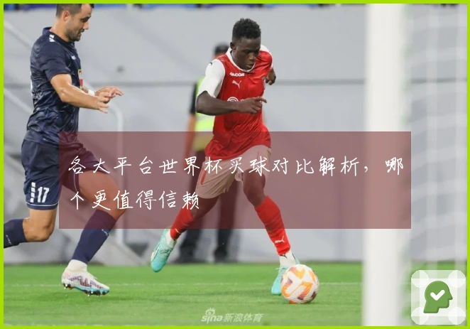 各大平台世界杯买球对比解析，哪个更值得信赖