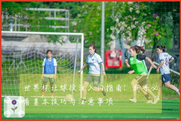 世界杯让球投注入门指南：新手必看基本技巧与注意事项