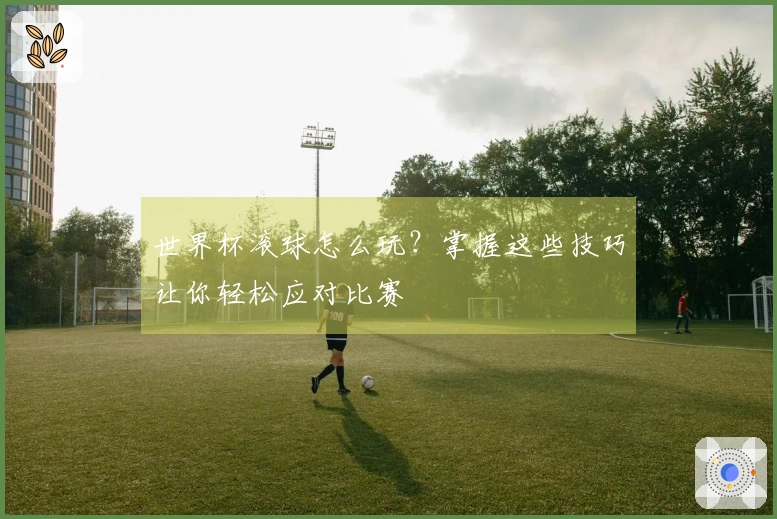 世界杯滚球怎么玩?掌握这些技巧让你轻松应对比赛