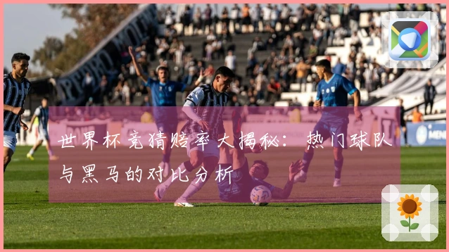 世界杯竞猜赔率大揭秘：热门球队与黑马的对比分析