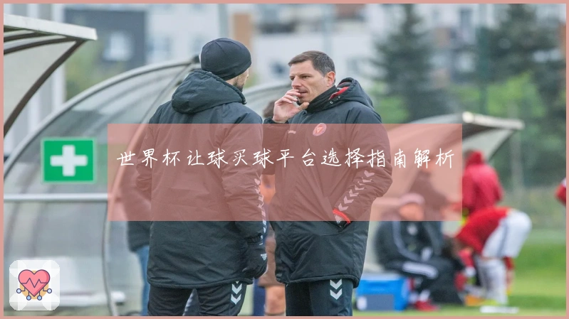 世界杯让球买球平台选择指南解析