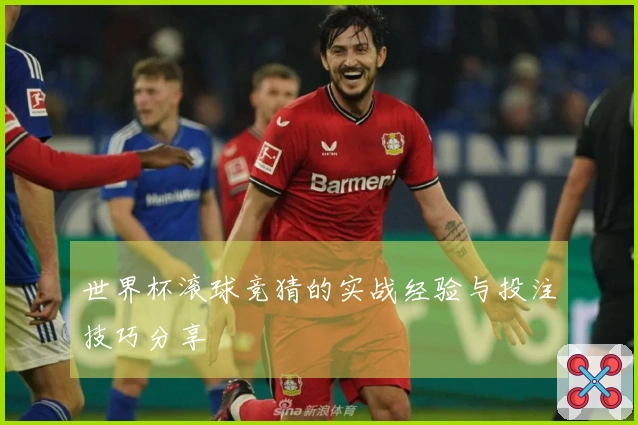 世界杯滚球竞猜的实战经验与投注技巧分享