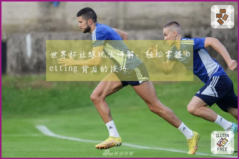 世界杯让球玩法详解，轻松掌握 betting 背后的技巧