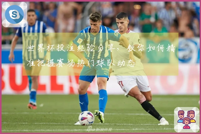 世界杯投注经验分享，教你如何精准把握赛场热门球队动态