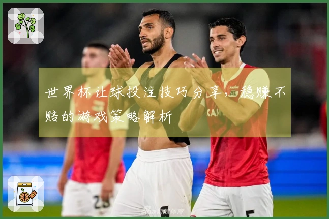 世界杯让球投注技巧分享，稳赚不赔的游戏策略解析