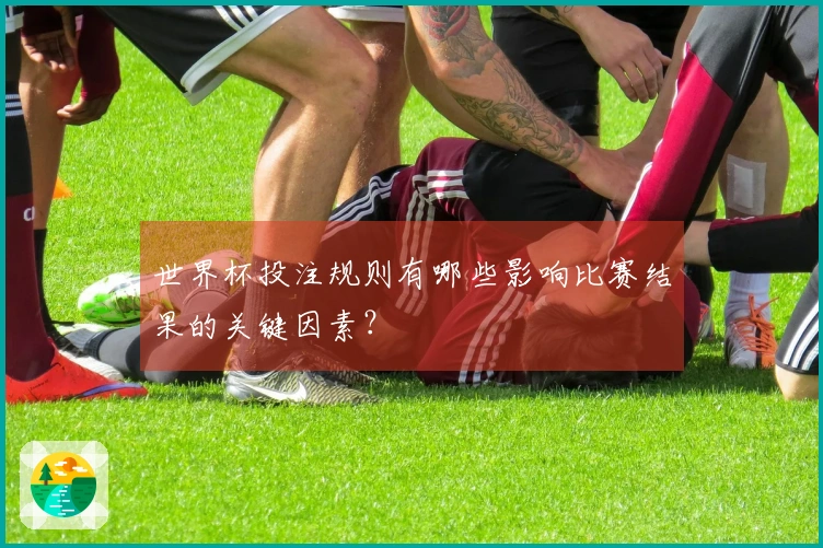 世界杯投注规则有哪些影响比赛结果的关键因素？