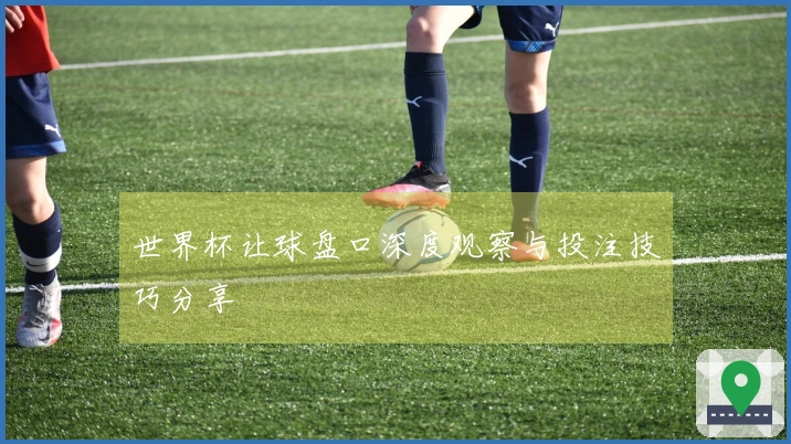 世界杯让球盘口深度观察与投注技巧分享