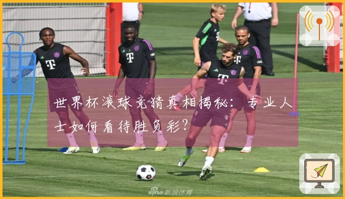 世界杯滚球竞猜真相揭秘：专业人士如何看待胜负彩？