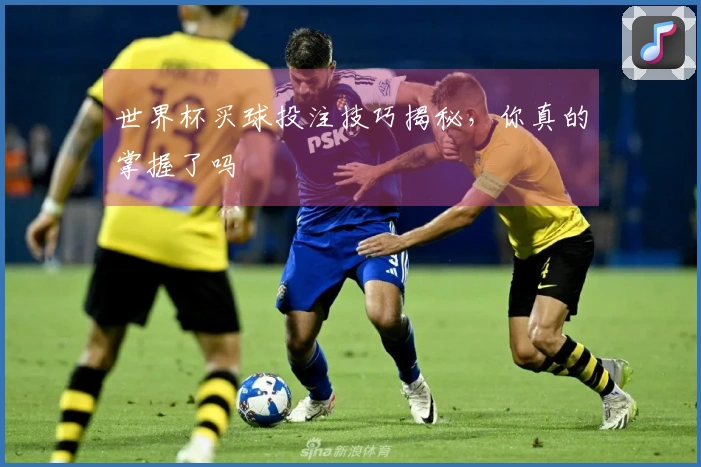 世界杯买球投注技巧揭秘，你真的掌握了吗