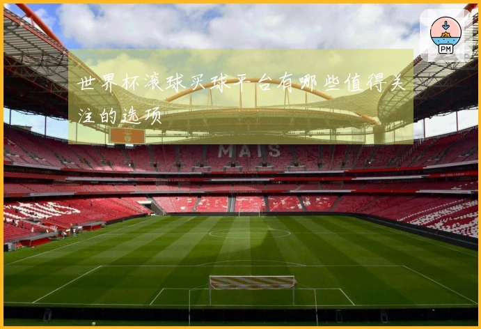 世界杯滚球买球平台有哪些值得关注的选项