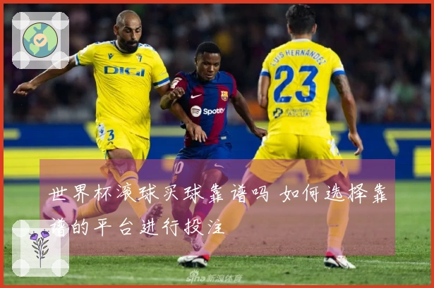 世界杯滚球买球靠谱吗 如何选择靠谱的平台进行投注
