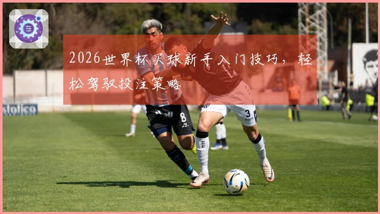 2026世界杯买球新手入门技巧，轻松驾驭投注策略