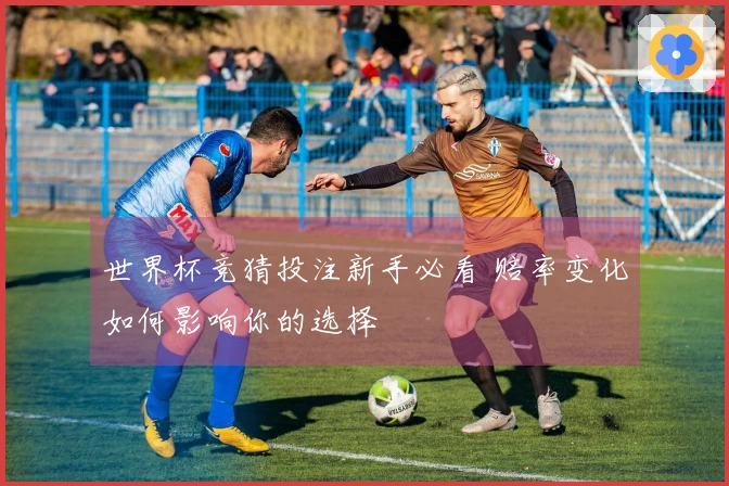 世界杯竞猜投注新手必看 赔率变化如何影响你的选择