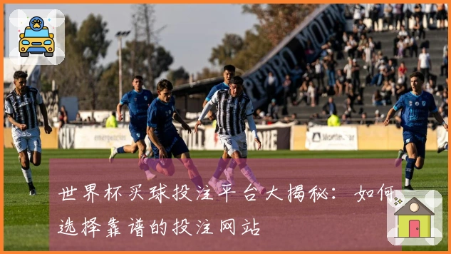 世界杯买球投注平台大揭秘：如何选择靠谱的投注网站