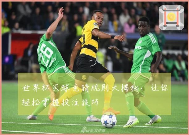 世界杯买球竞猜规则大揭秘，让你轻松掌握投注技巧