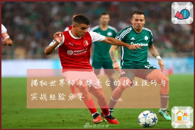 揭秘世界杯滚球平台的投注技巧与实战经验分享