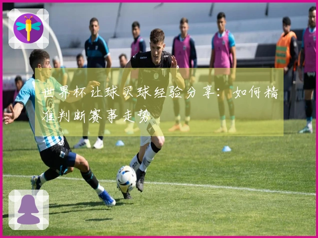 世界杯让球买球经验分享：如何精准判断赛事走势