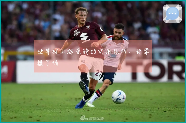 世界杯买球竞猜的实用技巧，你掌握了吗
