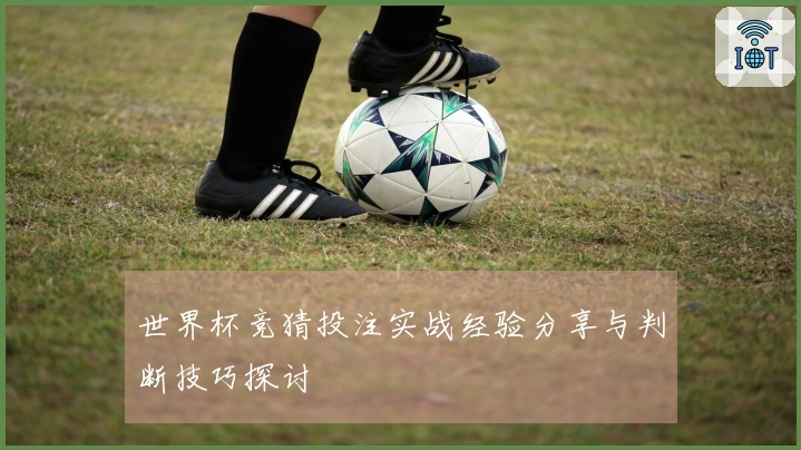世界杯竞猜投注实战经验分享与判断技巧探讨