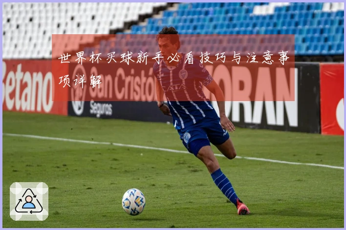 世界杯买球新手必看技巧与注意事项详解